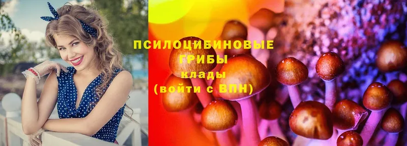 Псилоцибиновые грибы Cubensis  наркотики  kraken ССЫЛКА  Аткарск 